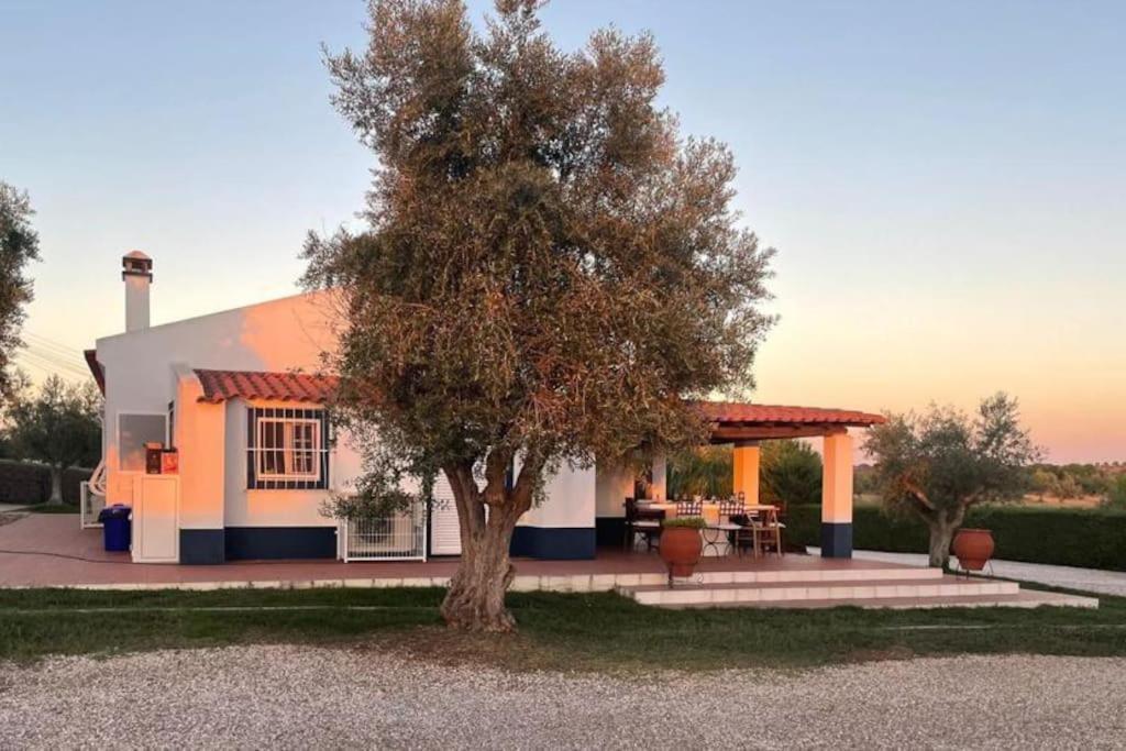 אביס Casa Das Oliveiras מראה חיצוני תמונה