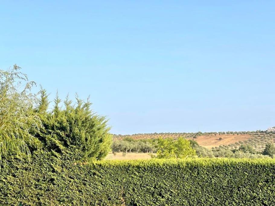 אביס Casa Das Oliveiras מראה חיצוני תמונה