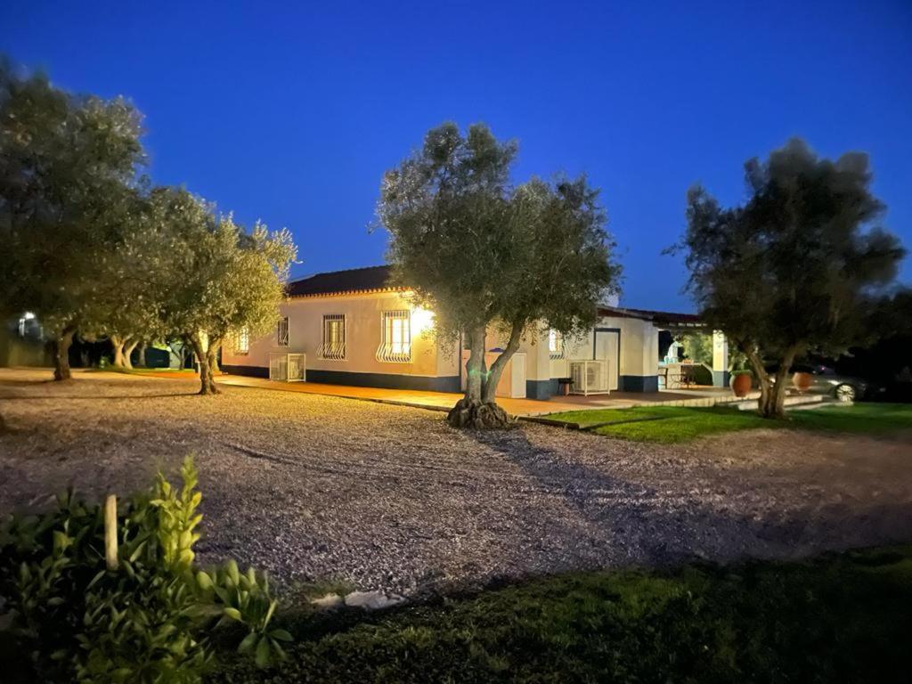 אביס Casa Das Oliveiras מראה חיצוני תמונה