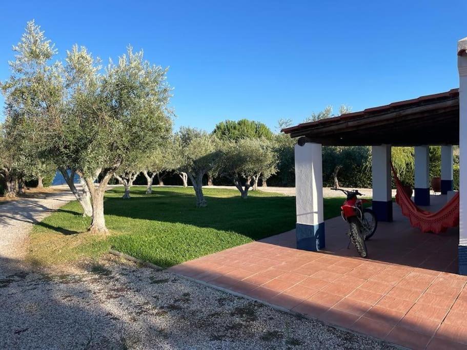 אביס Casa Das Oliveiras מראה חיצוני תמונה