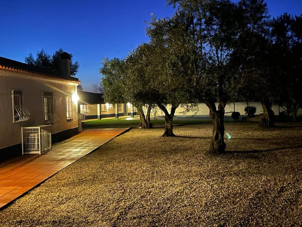 אביס Casa Das Oliveiras מראה חיצוני תמונה