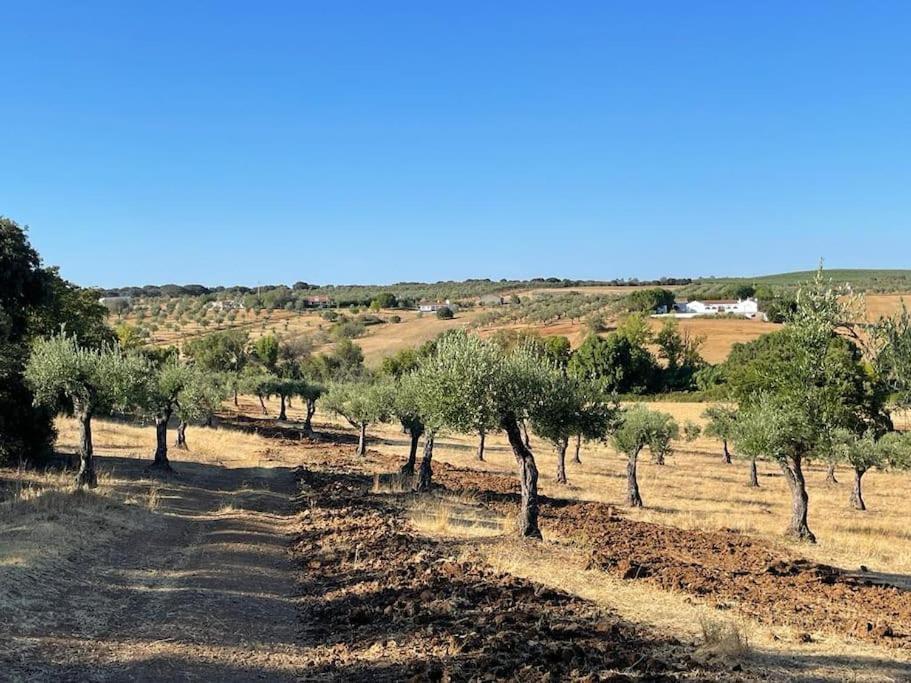 אביס Casa Das Oliveiras מראה חיצוני תמונה